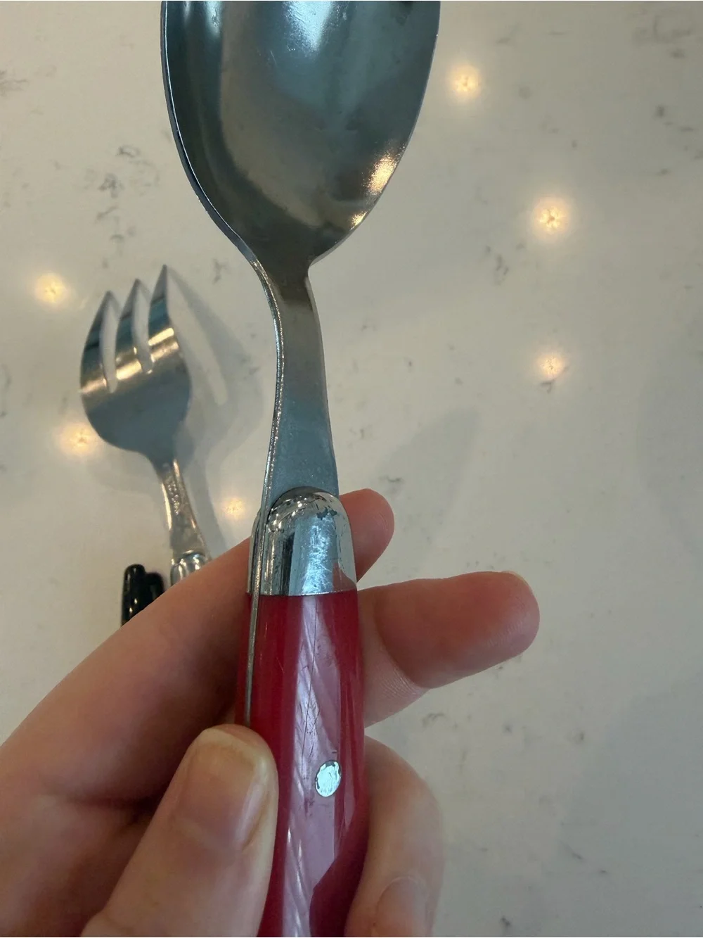 Set of Serving Spoon and Fork